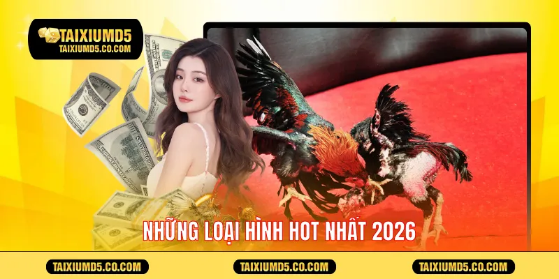 Những loại hình hot nhất 2026