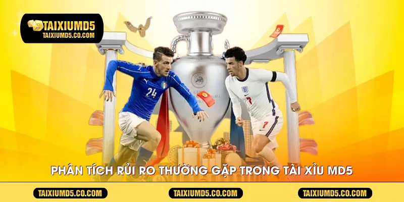 Phân tích rủi ro thường gặp trong Tài Xỉu MD5 